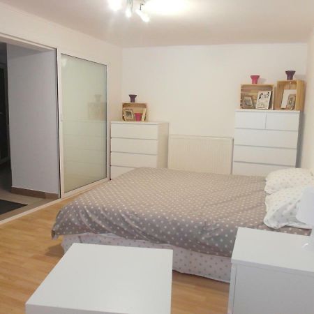 Studio Moliere Apartment Brașov Exterior foto