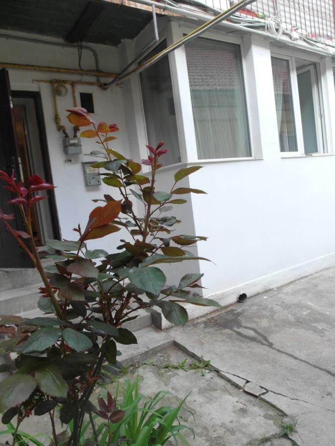 Studio Moliere Apartment Brașov Exterior foto